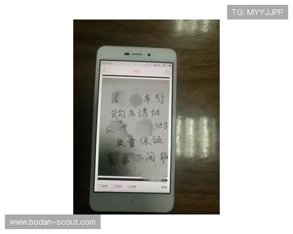 买波胆的血泪教训避坑防骗品牌入口下载评测 买波胆的血泪教训避坑防骗品牌入口下载评测