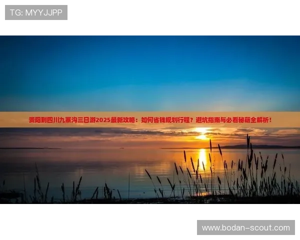 开云玩球登录网页彩票与数字高频玩法防骗避坑指南